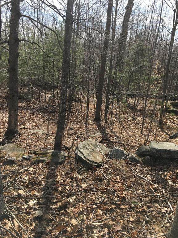 0 Dresser Hill Rd. - Photo 1