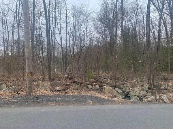 0 Chickering Rd - Photo 1
