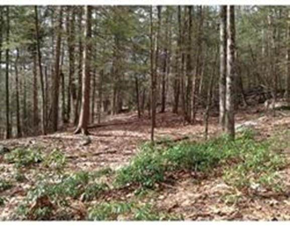 262 North Rd - Photo 1