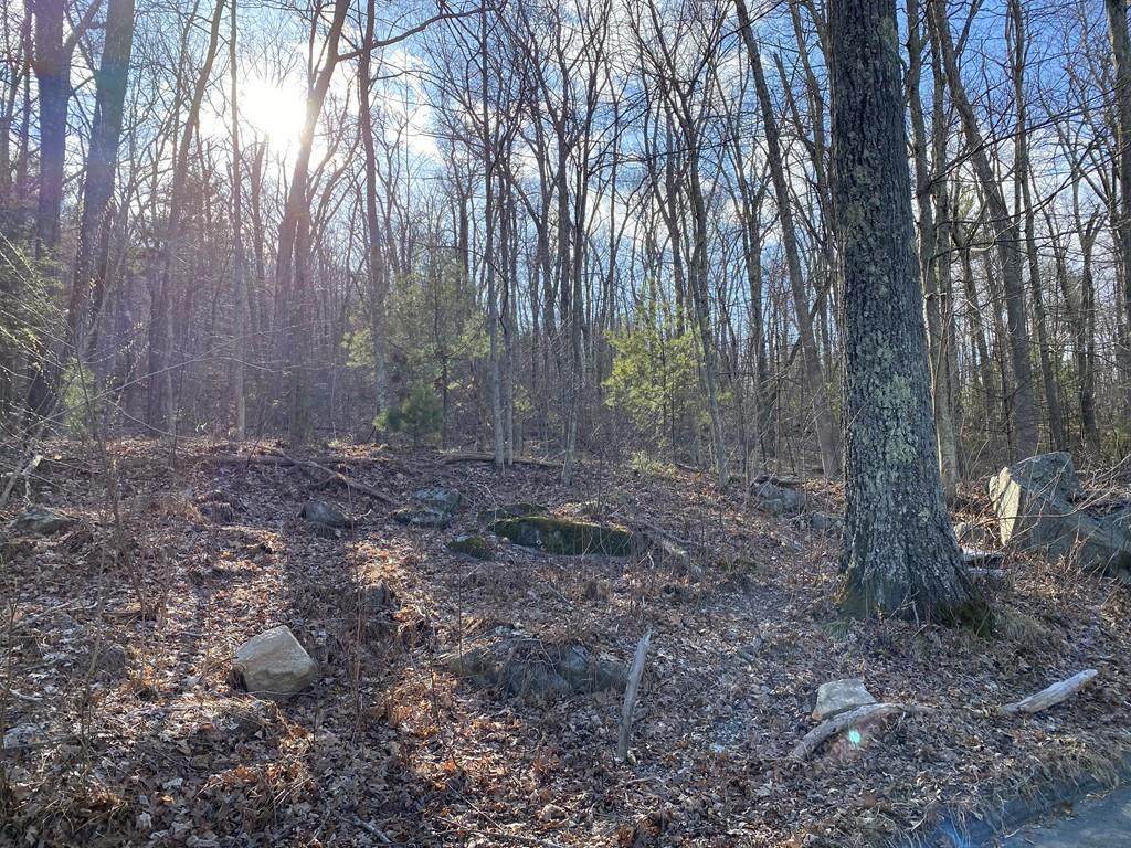 Lot 2 Chapin Rd - Photo 1