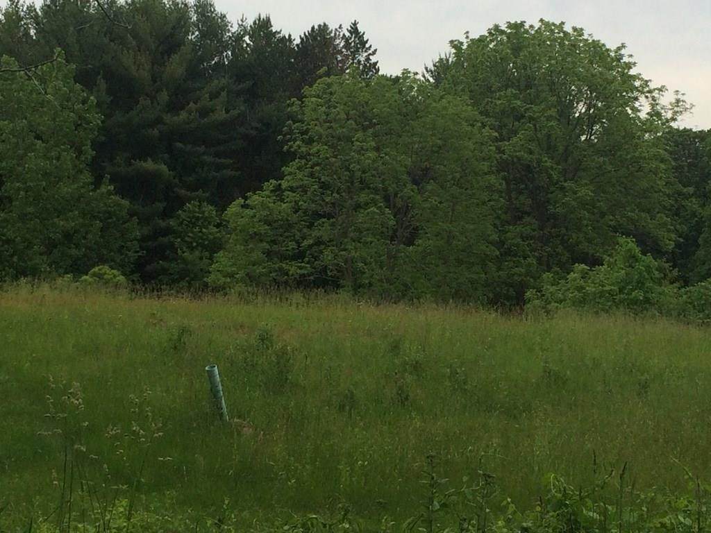 92 Chicopee - Photo 1