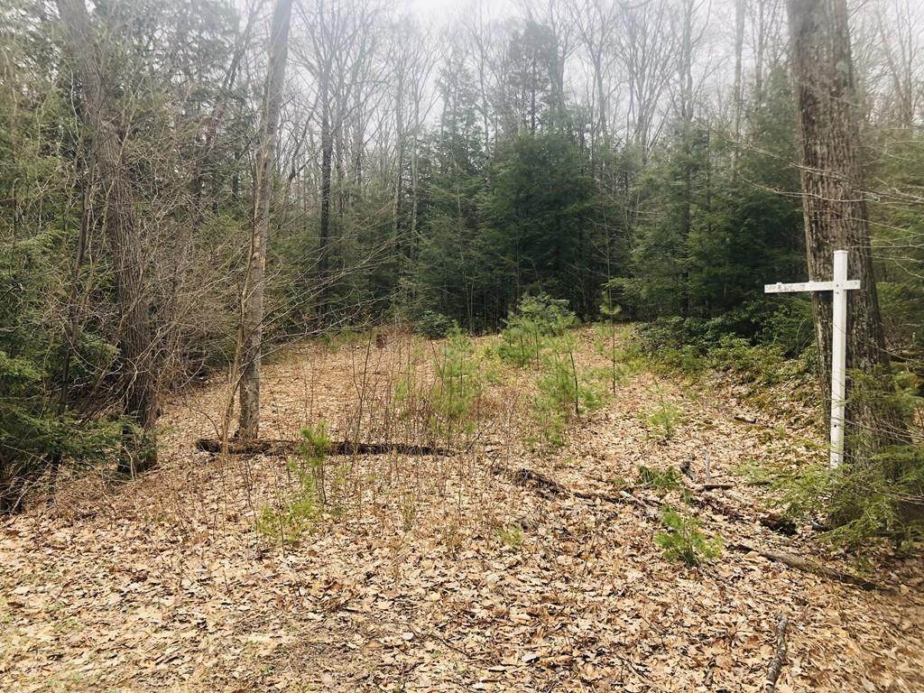 65 Chesterfield Rd - Photo 1