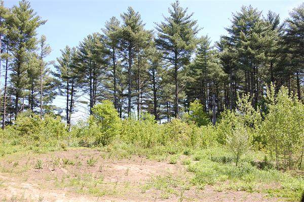 143 Shea Rd - Photo 1