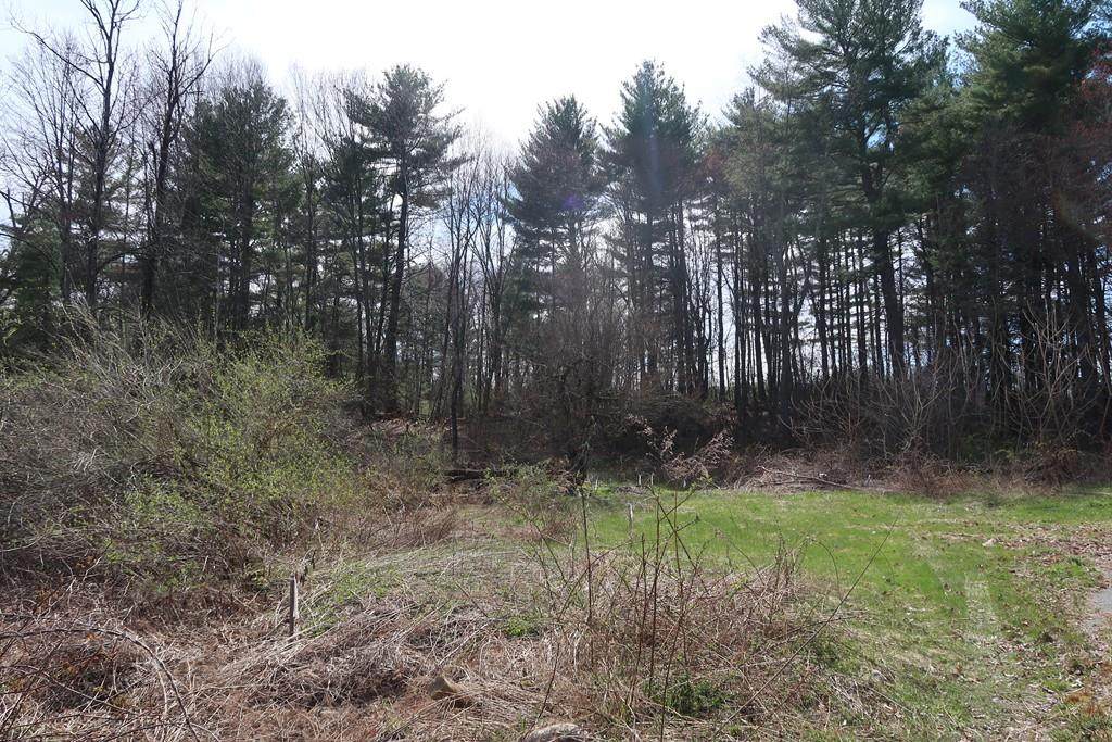 224 Russellville Rd - Photo 1