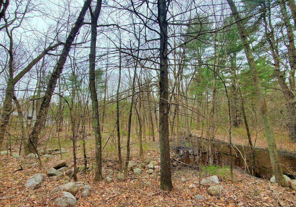 0 Prentice Rd - Photo 1