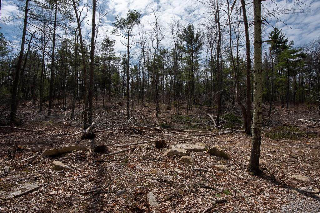 Lot 4 Lakeshore Dr - Photo 1