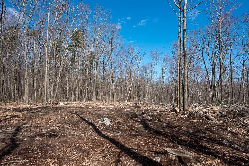 Lot 2 Ledgestone Rd - Photo 1