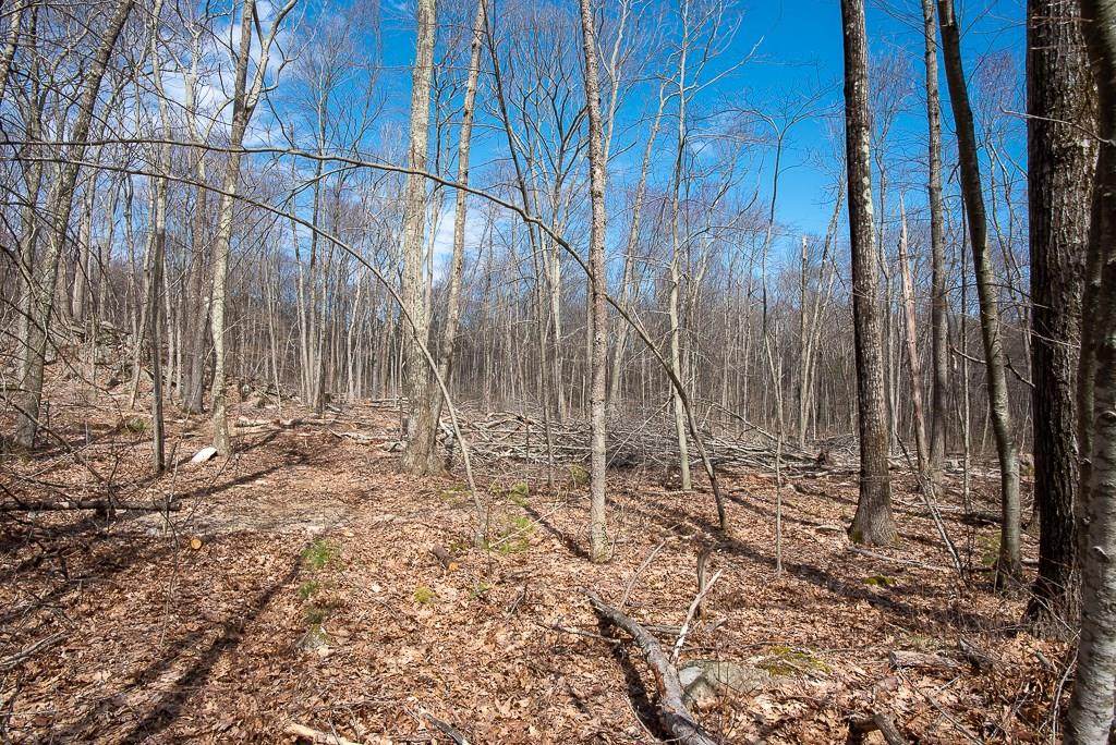 Lot 3 Ledgestone Rd - Photo 1