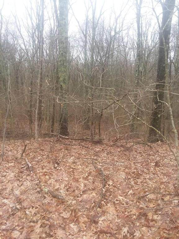 Lot 2-A 42 Rocky Hill Road - Photo 1