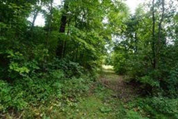 6.65 E Kline Rd. - Photo 1