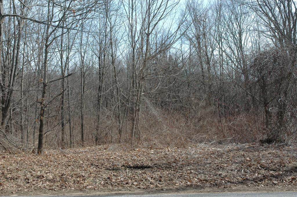 56 Old E Brookfield Rd - Photo 1