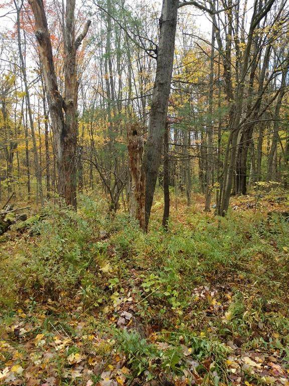 0 Willis Rd - Photo 1