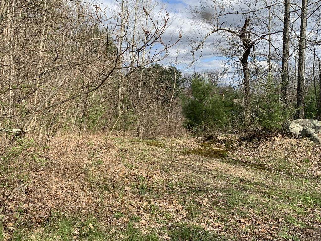 0 Green Ave - Photo 1