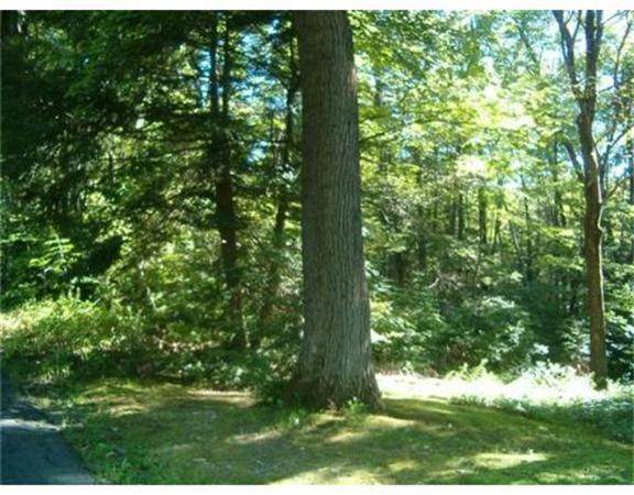 Lot 53-A Pantry Road - Photo 1