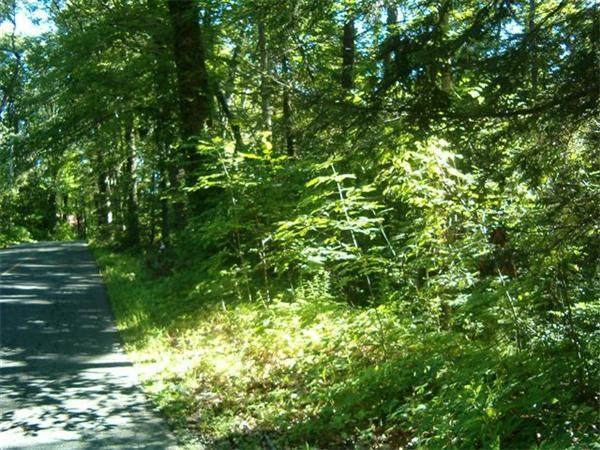 Lot 53-B Pantry Road - Photo 1
