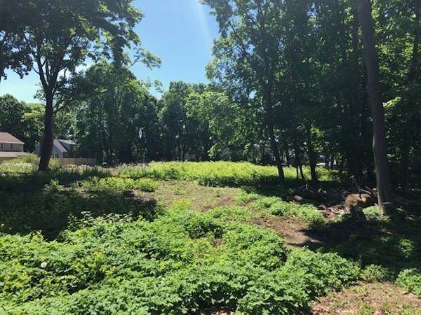 176 Hale Street Lot 2 - Photo 1