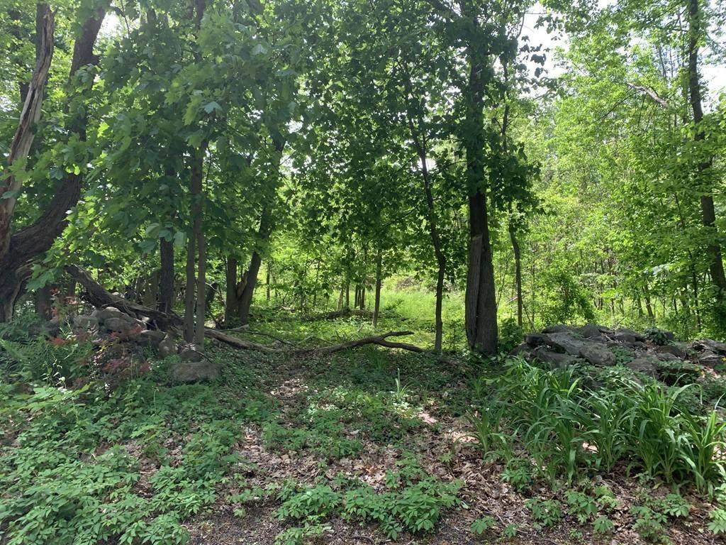 0 Mt. Elam Rd. - Photo 1