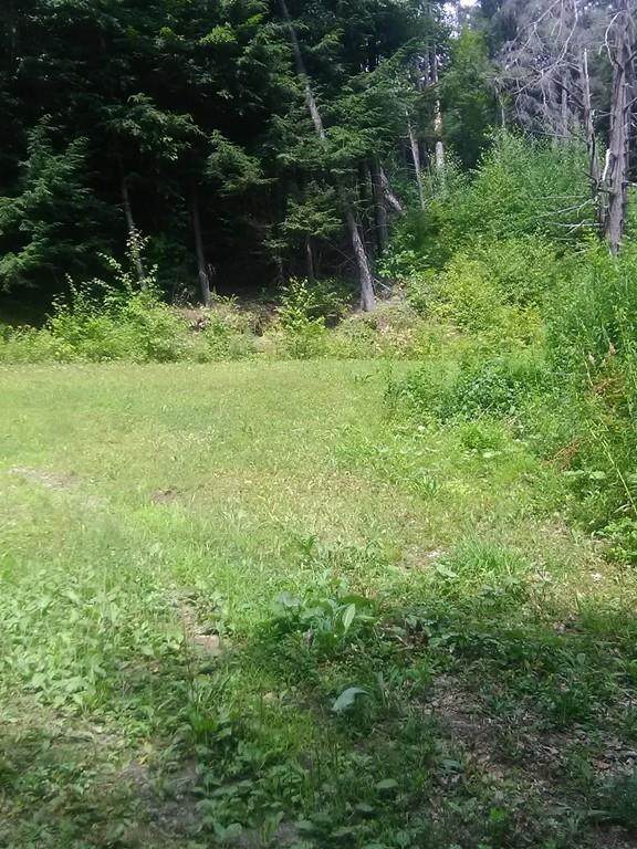 0 Munsing Ridge - Photo 1