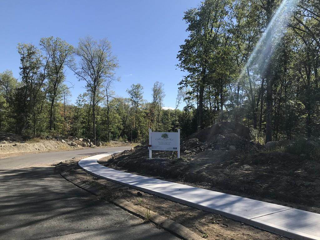 Lot 20 Turning Leaf Road - Photo 1