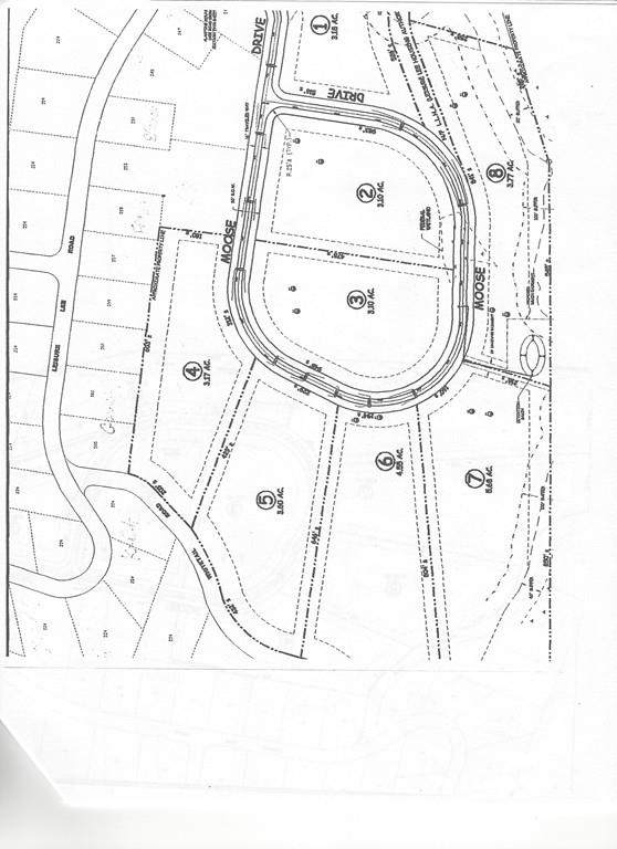 0 Moose Dr - Photo 1