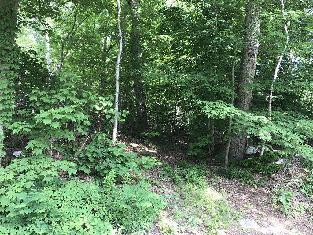 26 Lake Ave - Photo 1