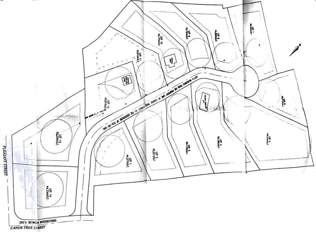 11 Canoe Tree St - Photo 1