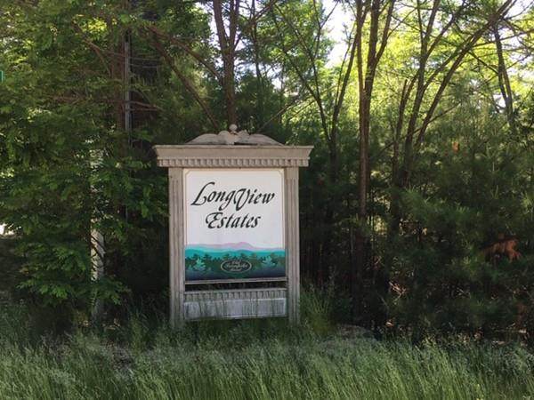 Lot 16 Old Schoolhouse Road - Photo 1