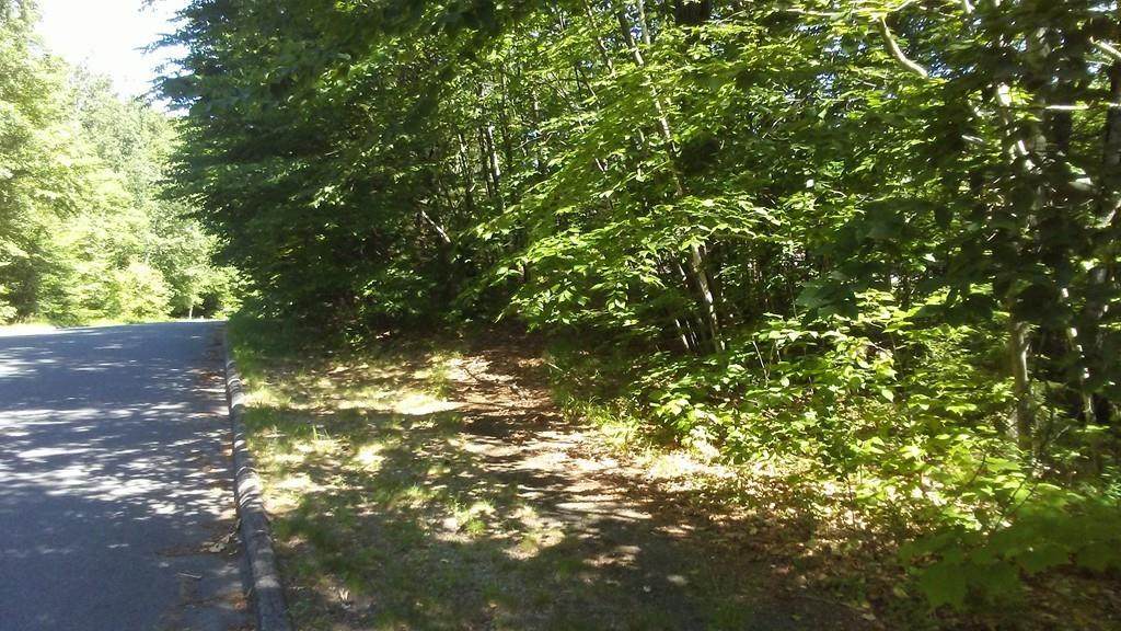 175 Woodland Way - Photo 1