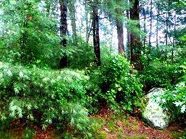 64 Forest Ave. Lot 6 - Photo 1