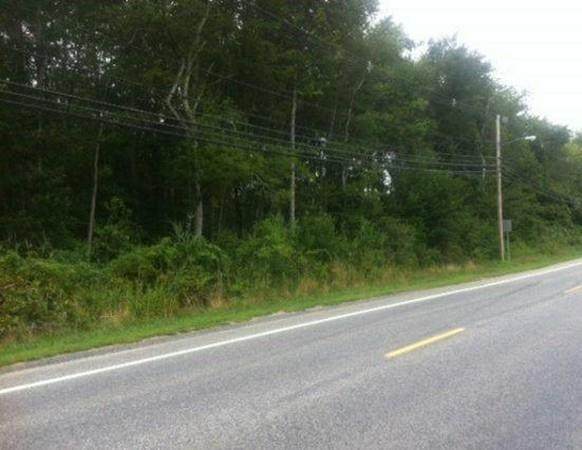 0 Bulgarmarsh Rd - Photo 1