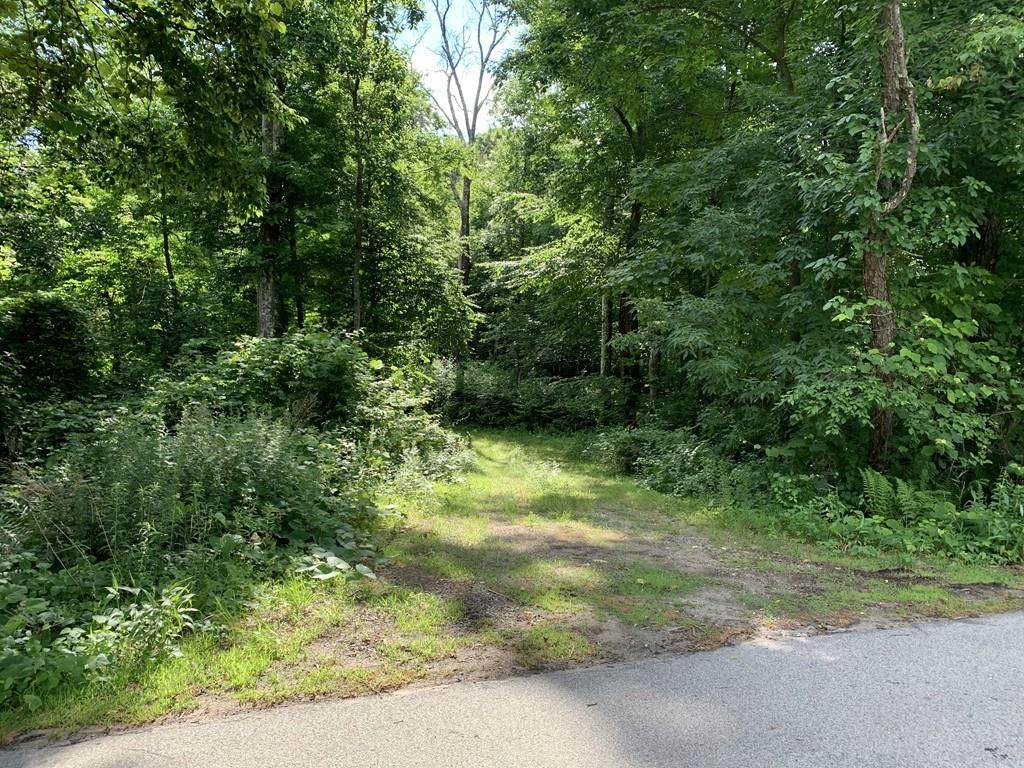 Lot 8 Monroe Street - Photo 1