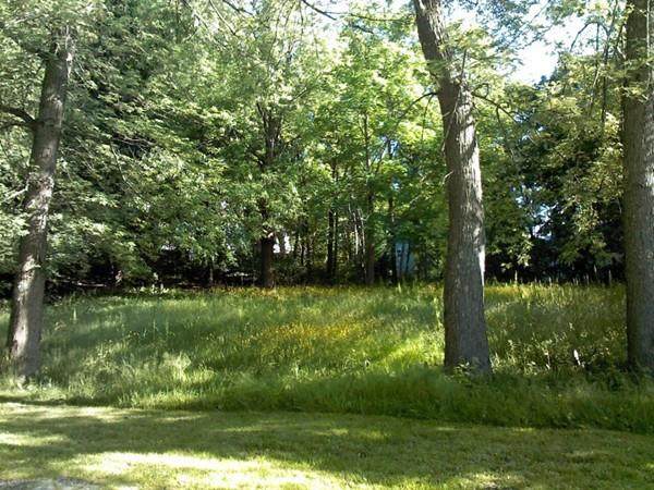 14 Velander St - Photo 1