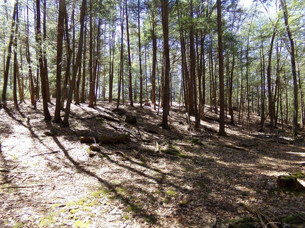 Lot 2 Cave Hill Rd - Photo 1