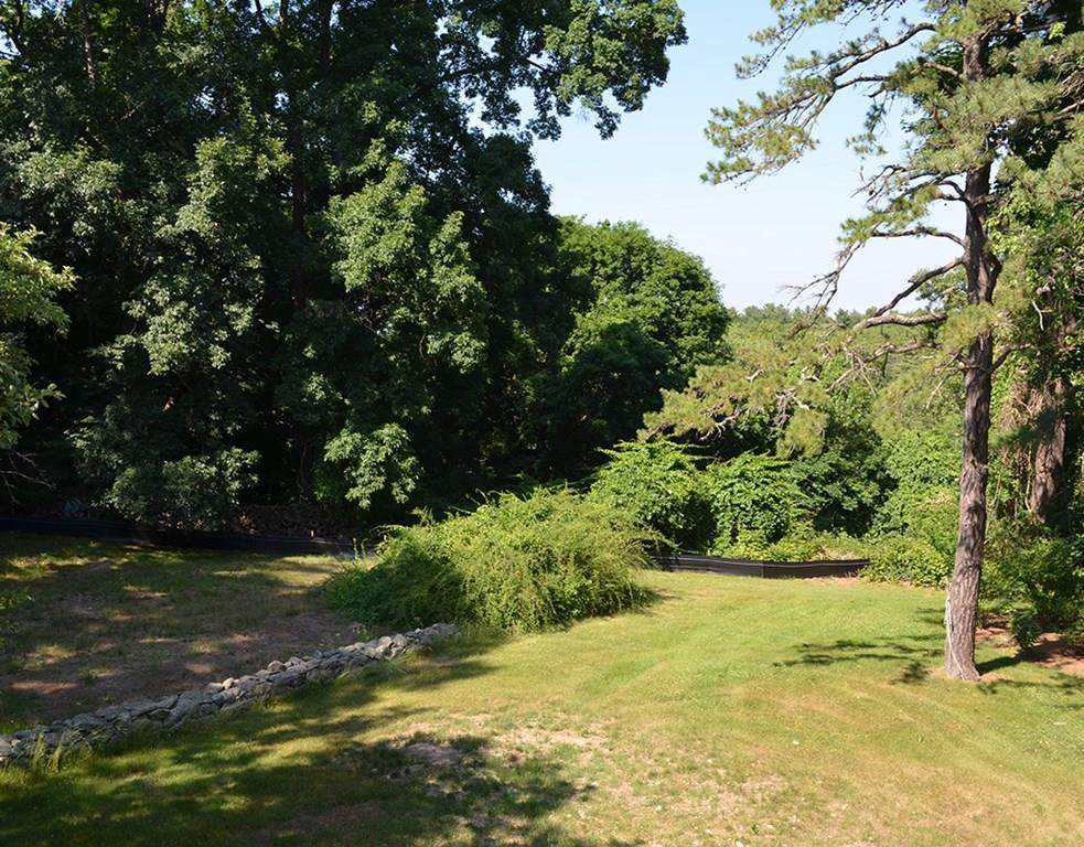 Lot 2A Ripley Hill Road - Photo 1