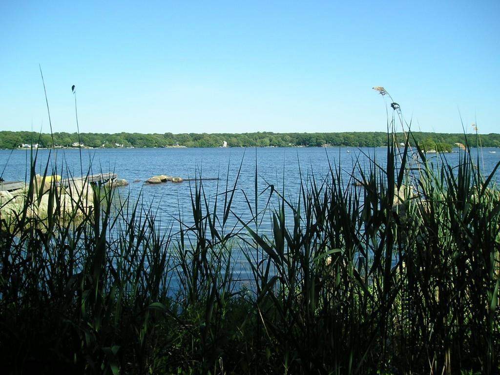 0000 Sawdy Pond Ave. - Photo 1