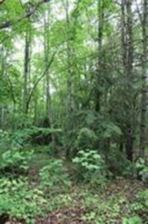 Lot 4D Healdville Rd - Photo 1