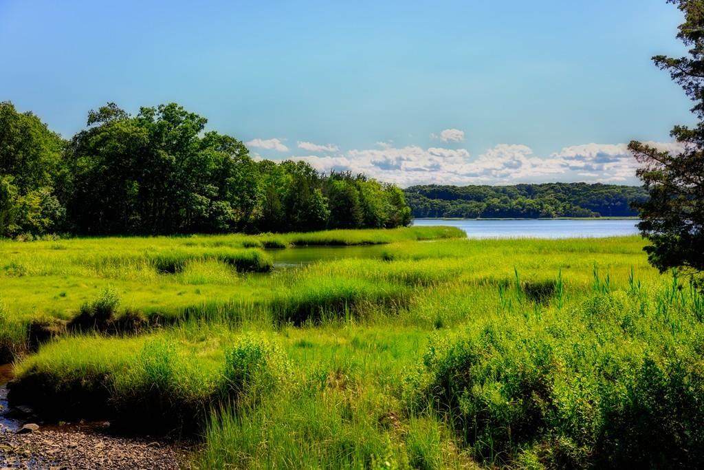 130 Broad Reach - Photo 1