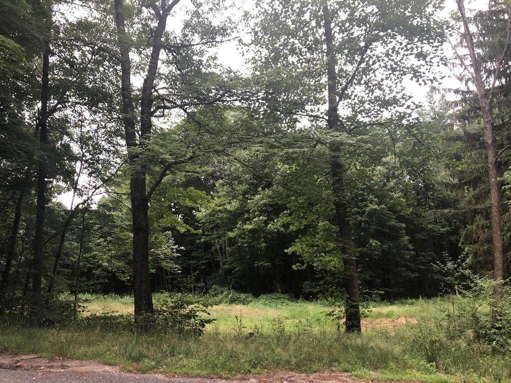 18 White Loaf Rd - Photo 1