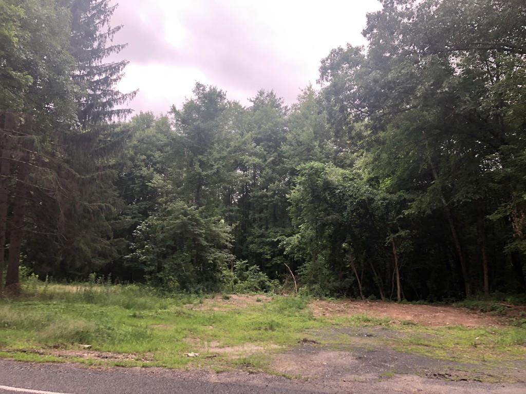 20 White Loaf Rd - Photo 1