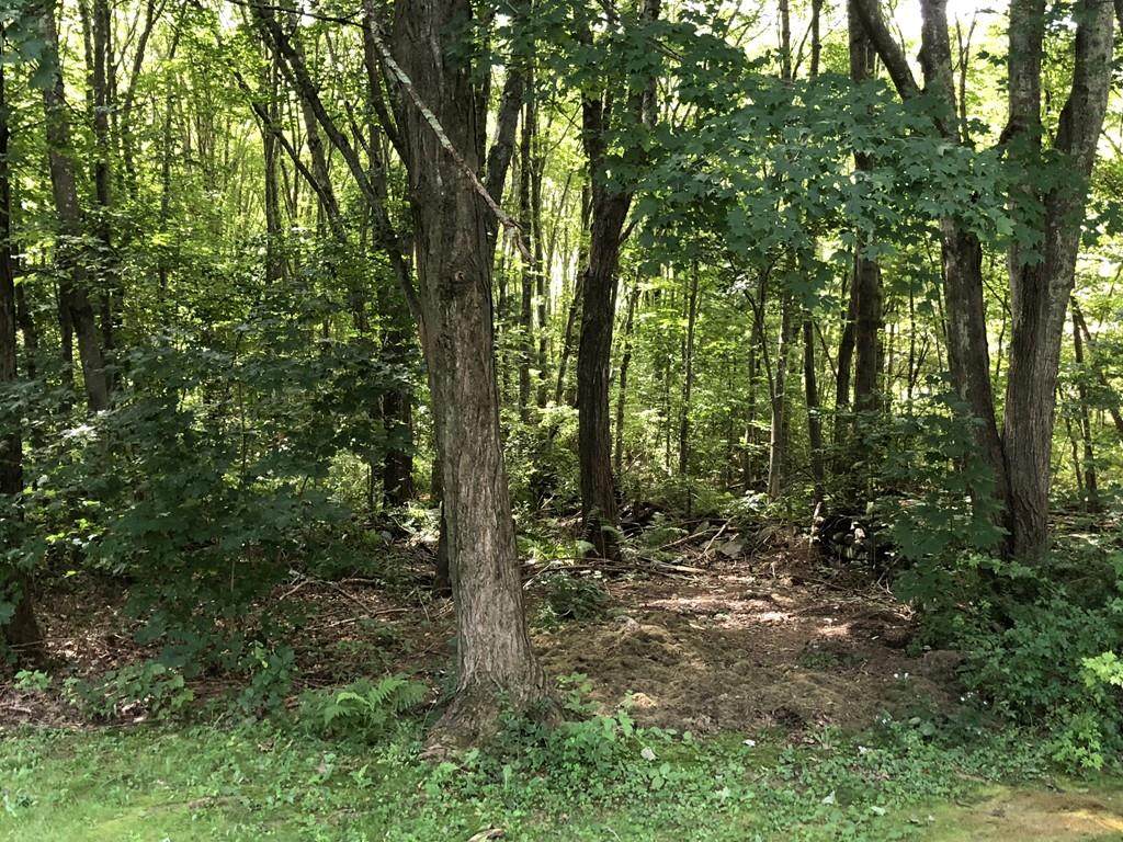 0 Old Barre Road - Photo 1