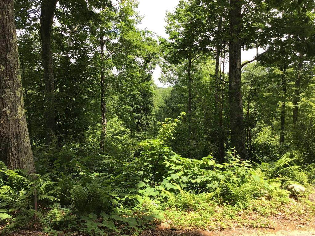 Lot 5 Kenwood Drive - Photo 1