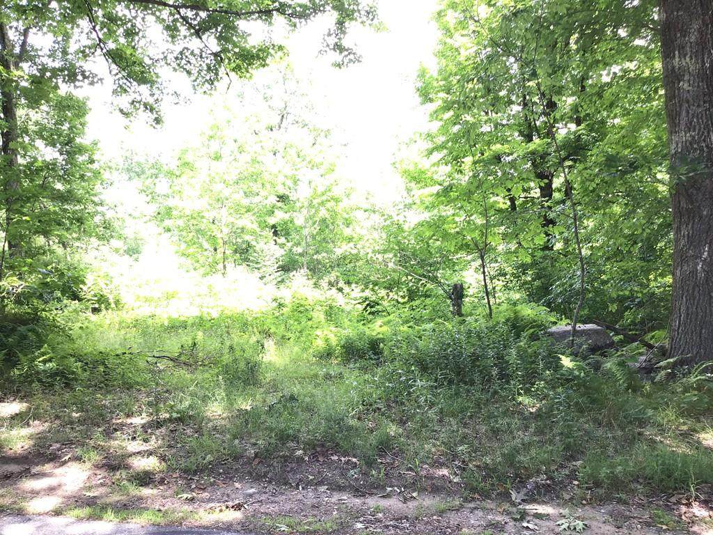 Lot 6 Kenwood Drive - Photo 1