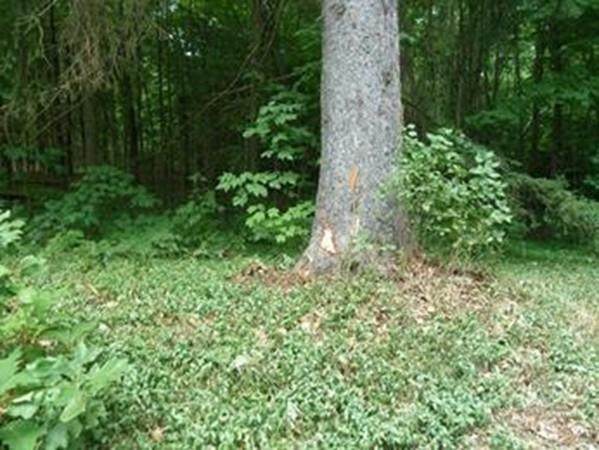 Lot 5 Mountain Road - Photo 1