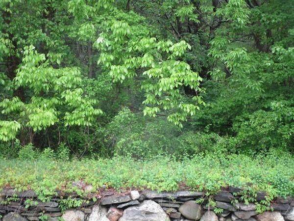 0 N Woodstock Rd - Photo 1
