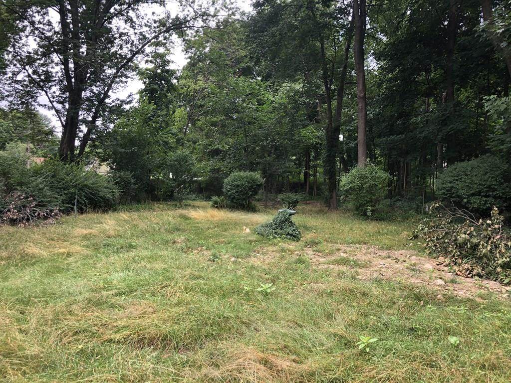19 Anthony Rd - Photo 1