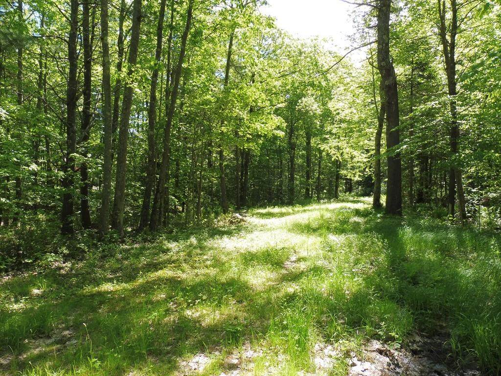 Lot H-4 Hastings Rd - Photo 1