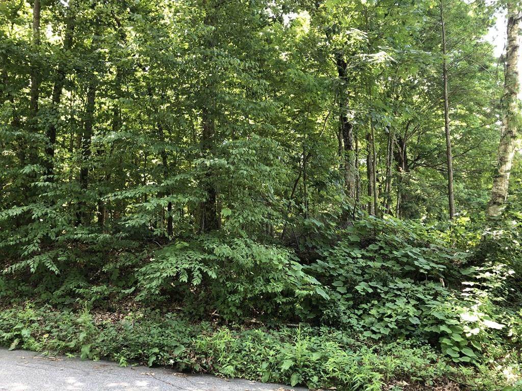 0 Maple Grove Rd - Photo 1
