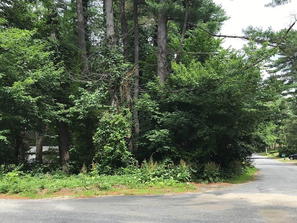 0 Pinewood Ave - Photo 1