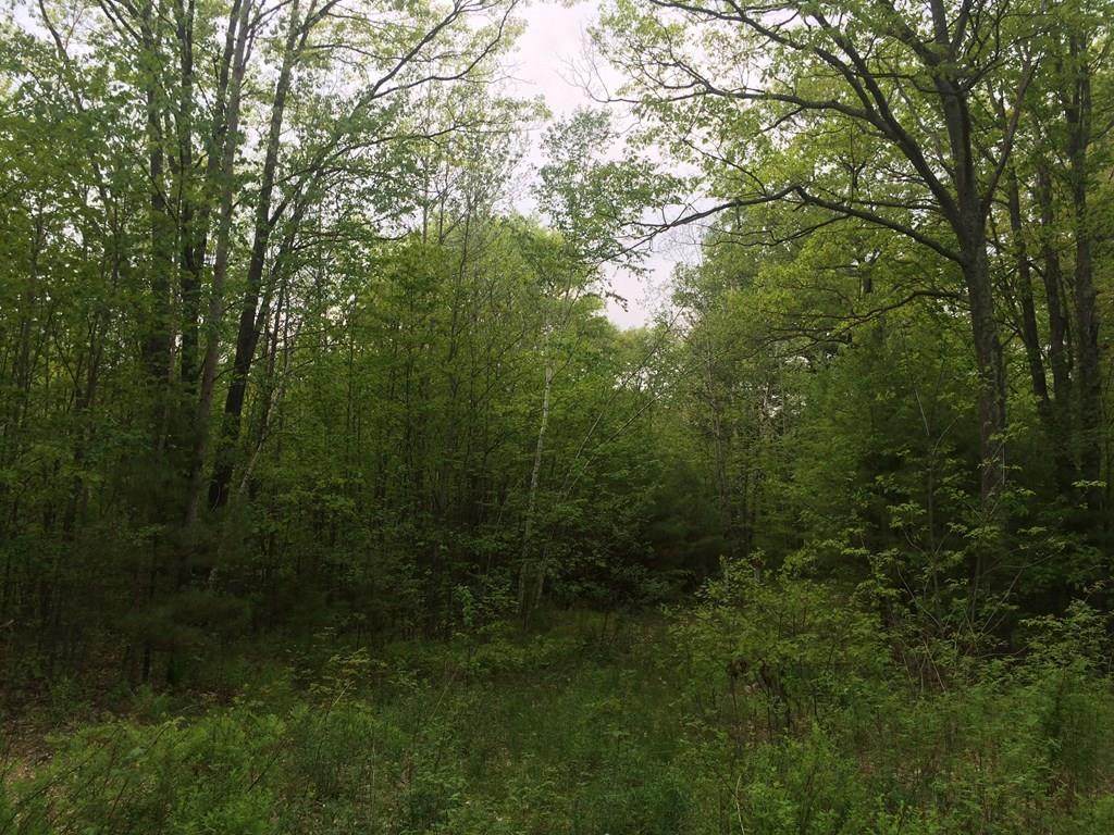 M11L65/110 Baldwinville Road - Photo 1