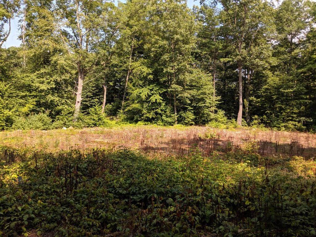 Lot 25-A-2 Northside Rd - Photo 1